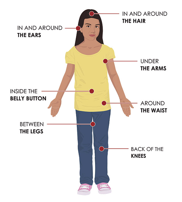 Image showing where to check on person for ticks: hair, ears, under arms, waist, belly button, between legs, back of knees