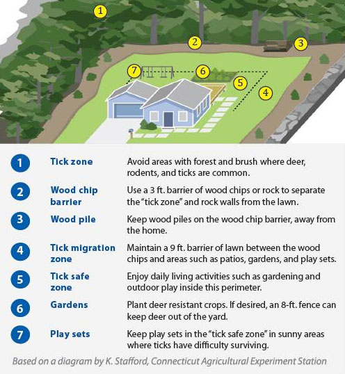 Describes how to create a tick safe yard, details athttps://www.cdc.gov/lyme/prev/in_the_yard.html