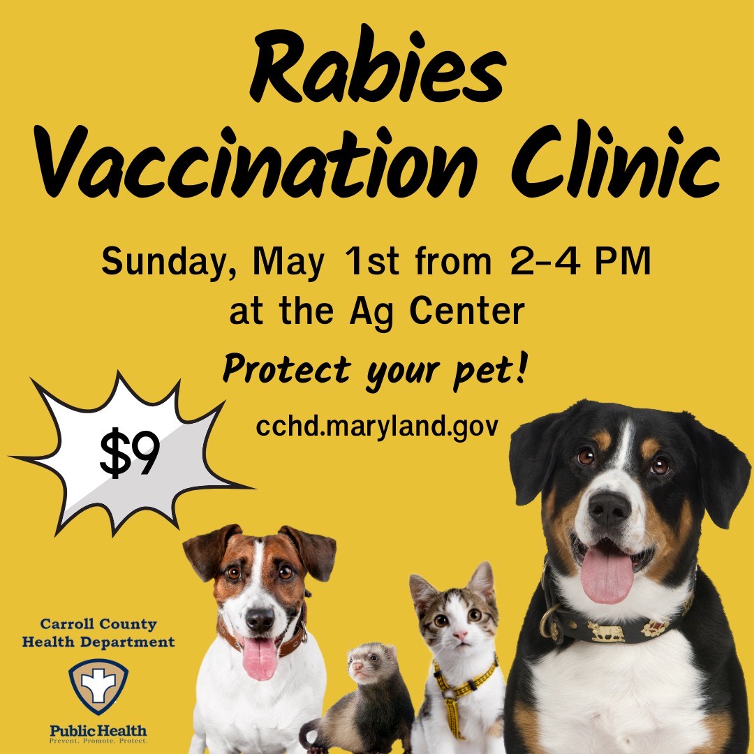 Get Your Pets Vaccinated Against Rabie